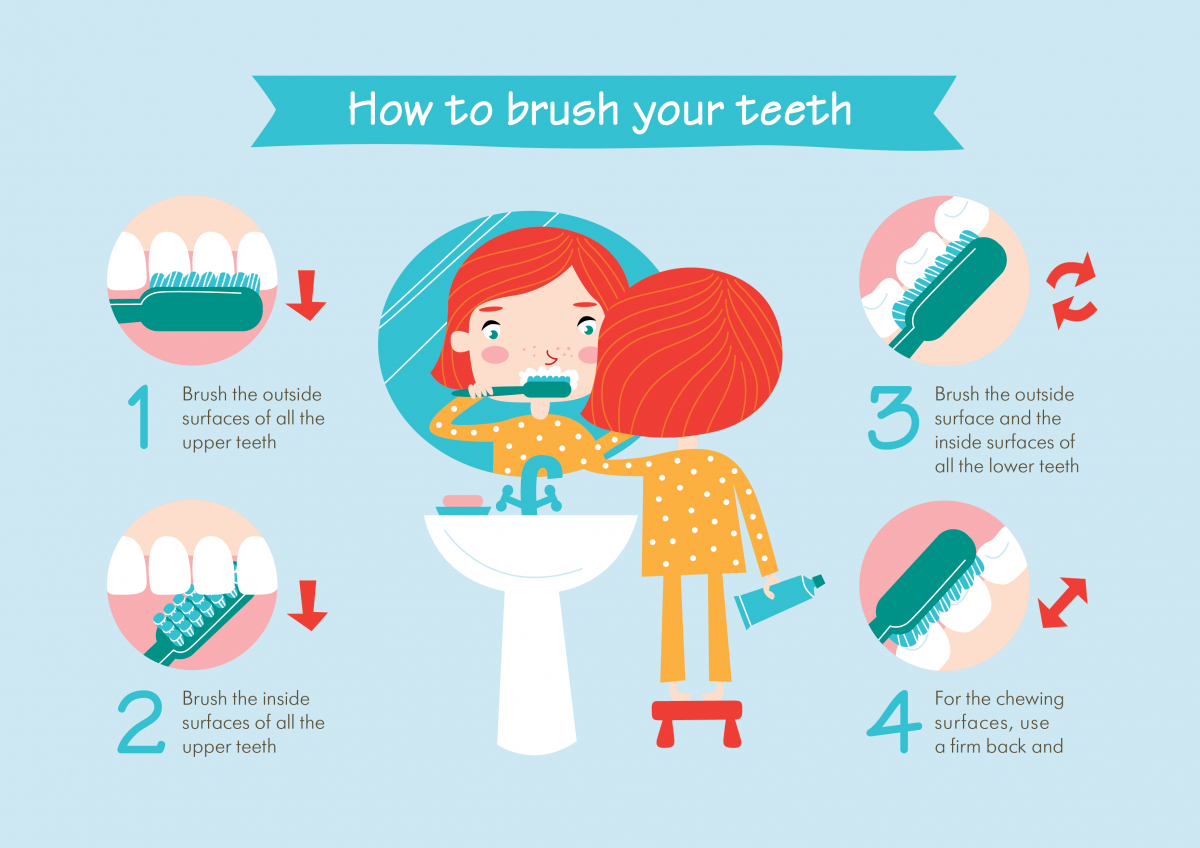 how to brush you teeth